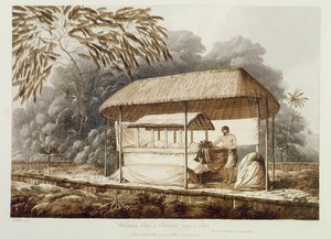 州にあるオハイテペハの首長、ワヘイアドオアは、「南の海の景色」のパブ。 1789 作： John Webber